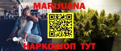 трава Гатчина