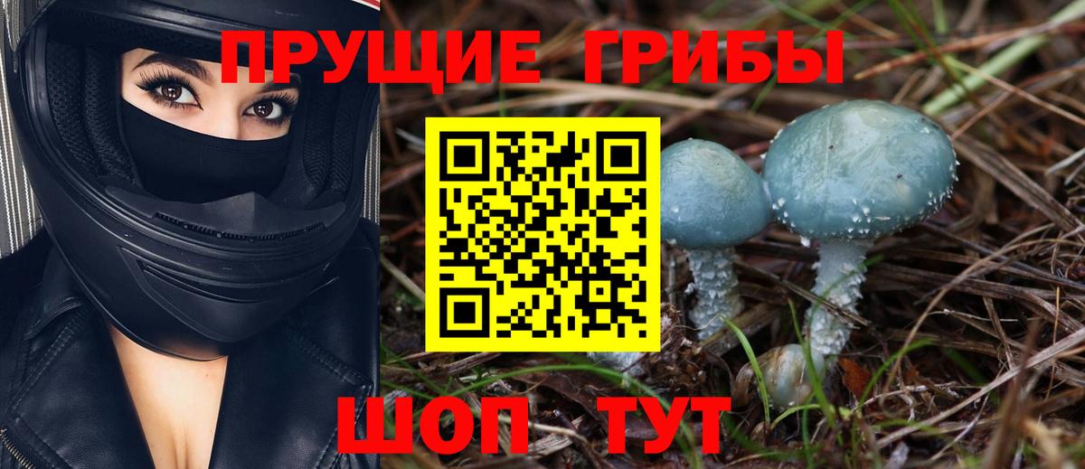 Псилоцибиновые грибы Magic Shrooms  Псилоцибиновые грибы прущие грибы  Донской  Вход с VPN 